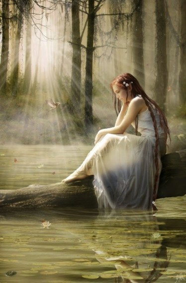 54b14-damaluzaguaarbol