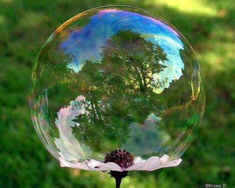 946687_531242646940387_281490325_n