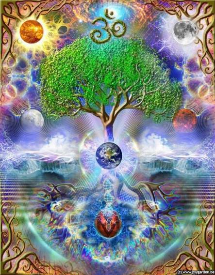 1011738_470017146420578_1580391926_n