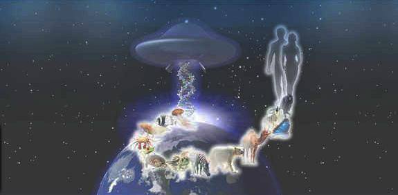 10345742_319055628261972_1184178556404214287_n