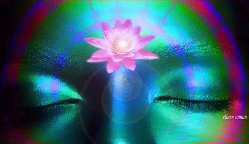 10403453_1487592941471707_3578403451463023341_n