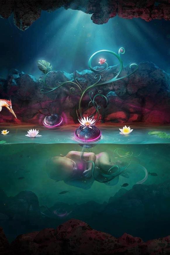 1542_204285483029994_1168182475_n