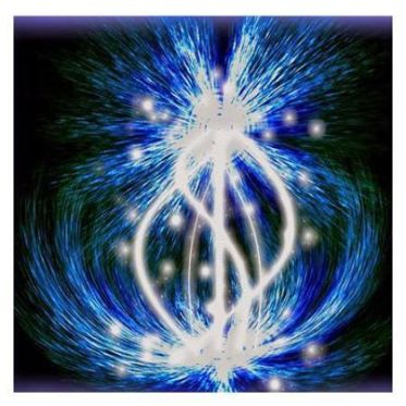 1978748_612453328837091_577660979_n