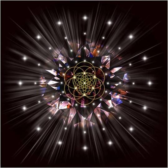 524472_703211976360259_360583929_n