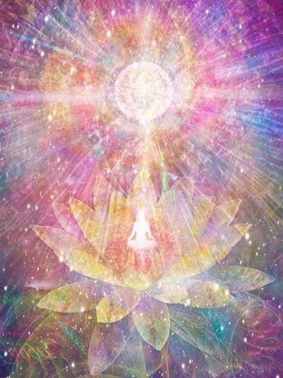 970197_564238350285905_1341907281_n