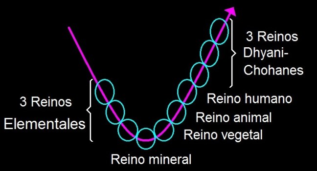 reinos-de-la-naturaleza-segun-la-teosofia