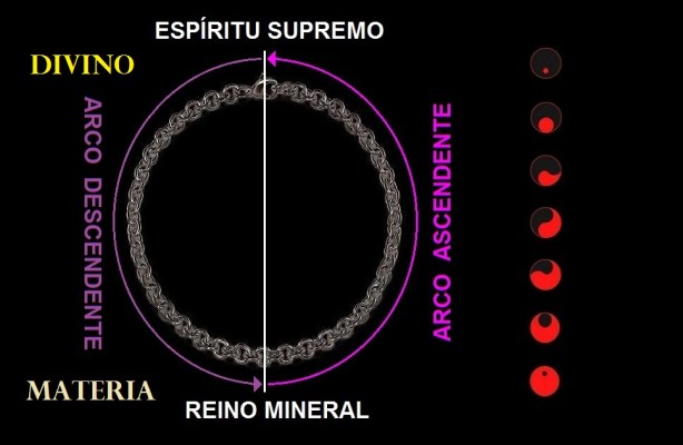 reinos-del-universo-arco-ascendente-descendente