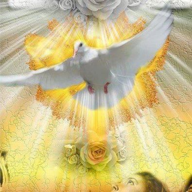 10013492_10152838602905200_930896256_n