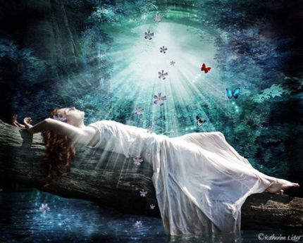 1002466_345730125572399_1452391968_n