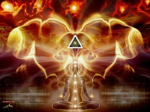 10150770_259395627572980_1821566382_n