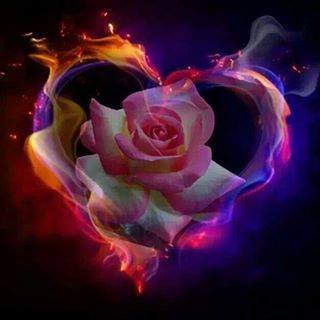 10152595_702133783161991_1595459681659353023_n