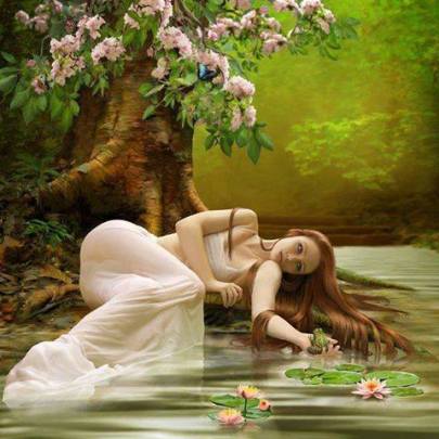 10176031_454935344651876_696361422382131232_n