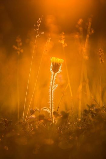 10295805_828135440572348_6924115225055595205_n