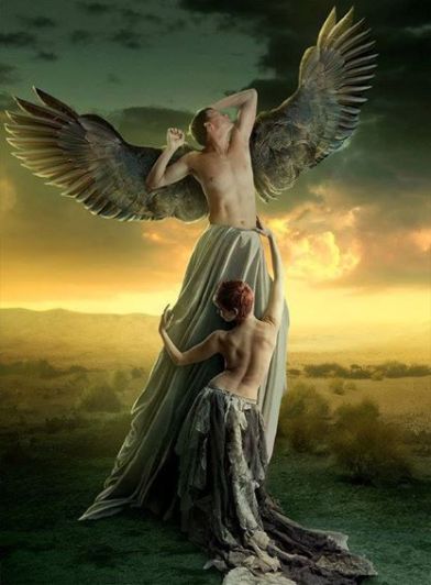 10325370_262034237336086_7721524012144554933_n