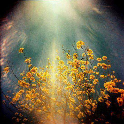 10334413_10152957075905200_2645460928384073366_n