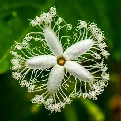 10371740_10153028430285200_6909954683655694722_n