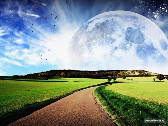 10408039_791734860872558_7506481755125421524_n