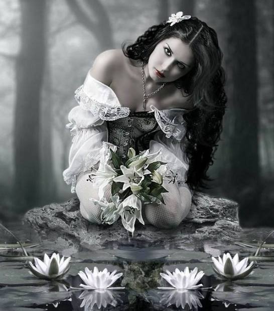 10410233_523381014473975_7193512222806486529_n