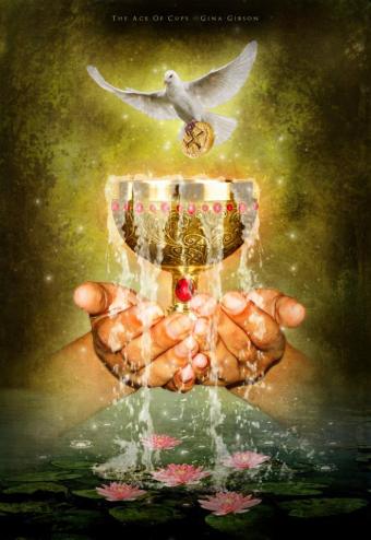 10514744_1527498774147003_2909044177114485776_n