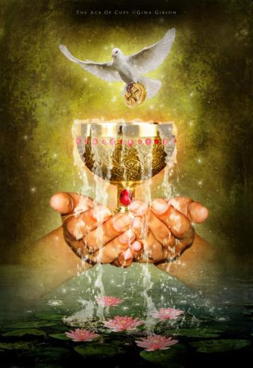 10514744_1527498774147003_2909044177114485776_n