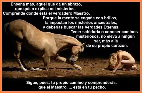 10623061_1474511799486714_1392505897319452674_n