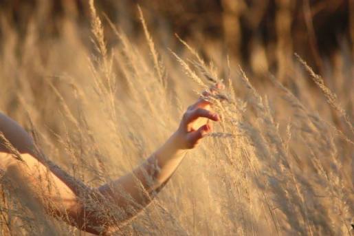 10665192_635878983194548_1153767009191193982_n