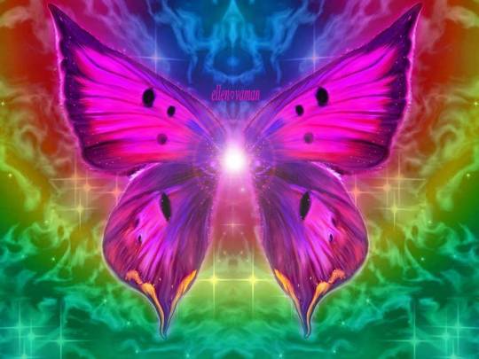 10702234_716908471713401_3918440750351102146_n