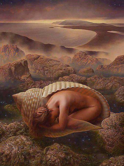 1234109_705493539527812_3927501401136027736_n