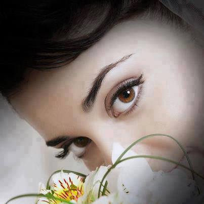 1452408_1388498634730934_687816098_n