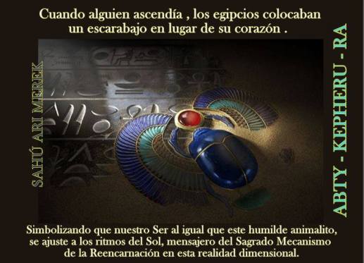 1465147_1428937737320950_1190122803_n