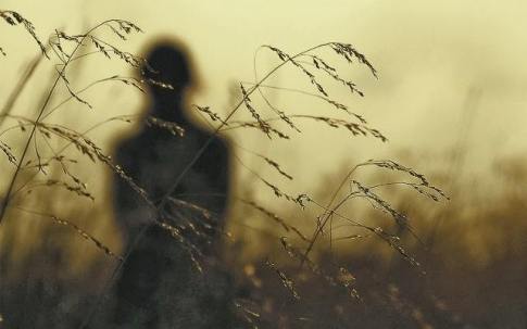 1484408_656064514437342_434898191_n