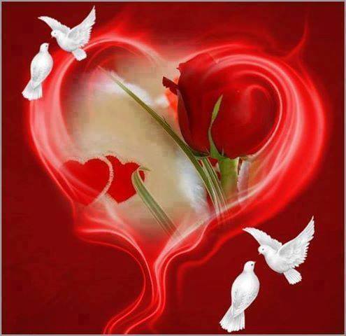 1622135_534902286628846_662925675_n