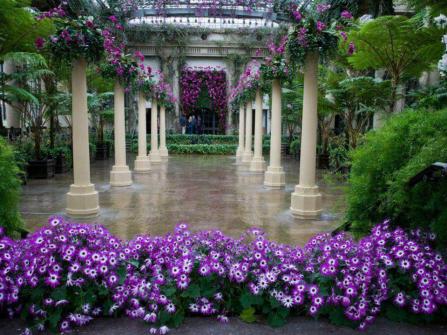 166792_595212877159355_1362574715_n