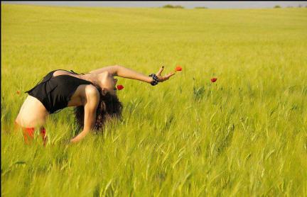 300637_193655867379874_236819844_n