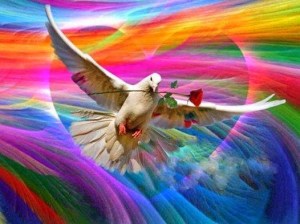 9530d-11272_689962724414227_3914355287374229512_n