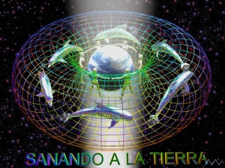 delfines sanando la tierra