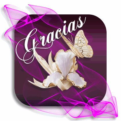 gracias_elegante-12385