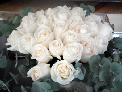 rosas-blancas