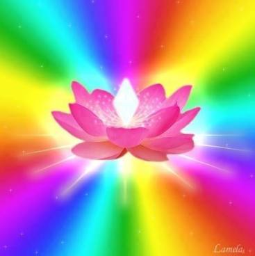 10152410_733066603383344_920747613006398487_n