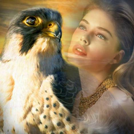 10302103_948019278545338_8894193033494421441_n