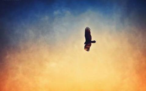 10329073_658672524223638_7783696366315921673_n