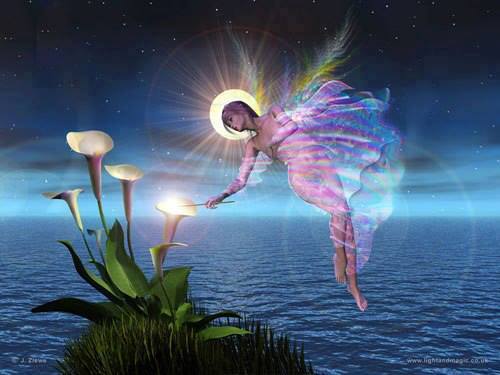 10334397_10204734339102908_223116738935062030_n