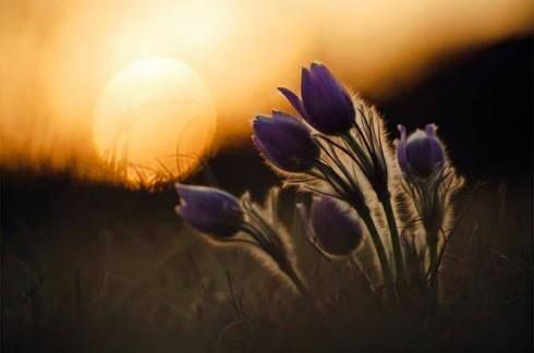 10404895_707976029279563_7244276513175012713_n