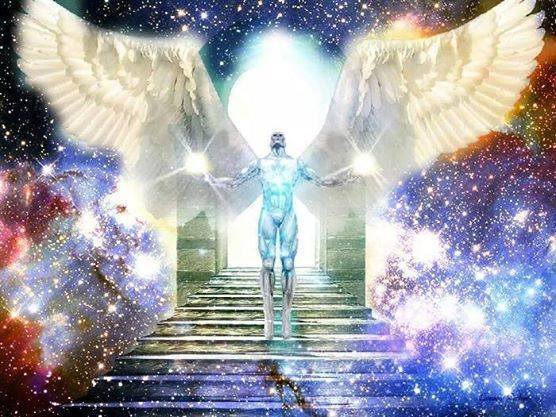 10406765_1501801940103690_176089620531274061_n