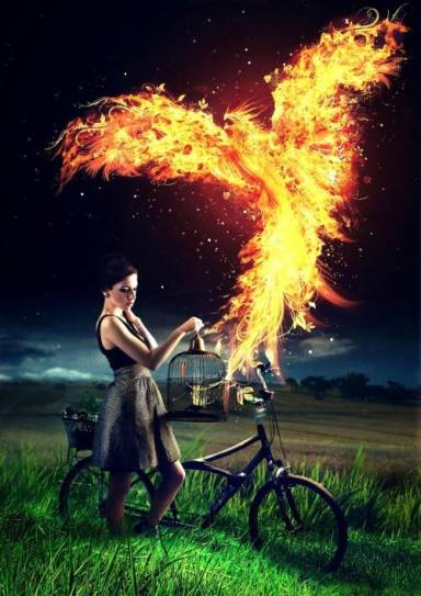 10411311_910139082331085_5800490092788589976_n