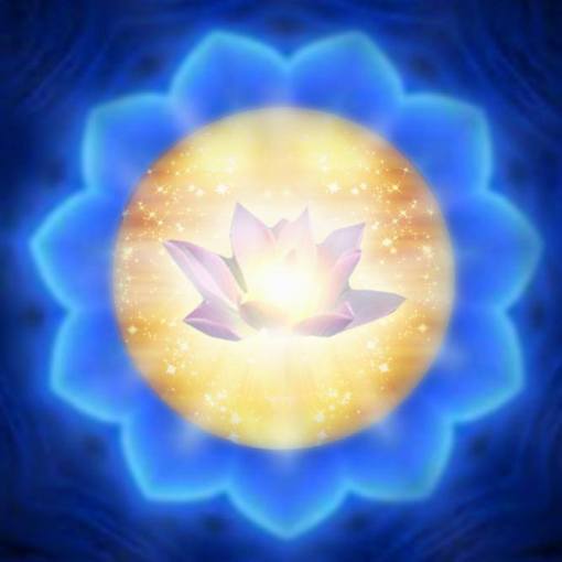 10415617_590960851010409_4758654749244453873_n