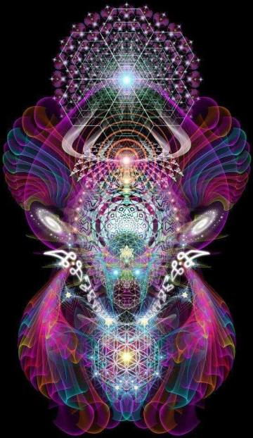 10487482_342688052548312_1951672726649357515_n