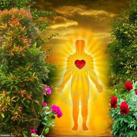 10505331_485370414899620_7228143120485664249_n