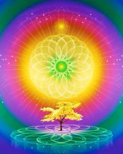 10526120_975394475807809_3471267284221926853_n