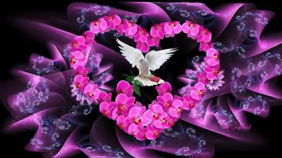 10533452_708698532552924_4889206243992703036_n